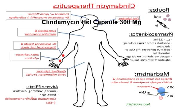 offers generic clindamycin find patient medical information