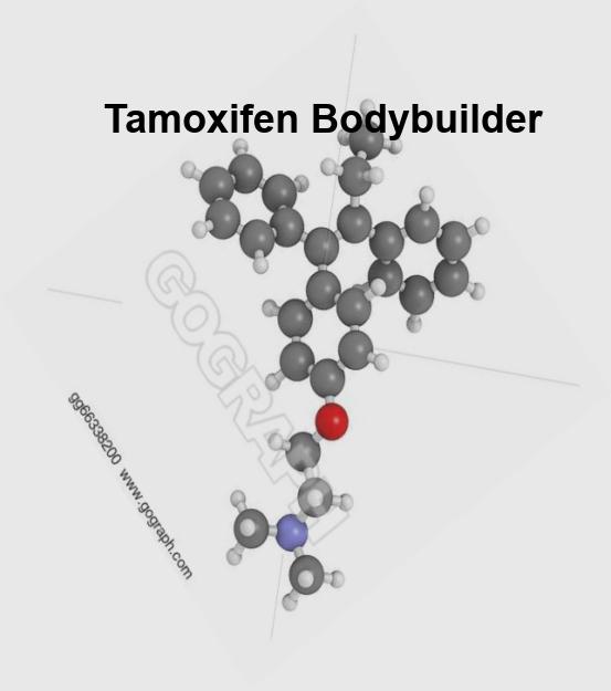 tamoxifen bodybuilder