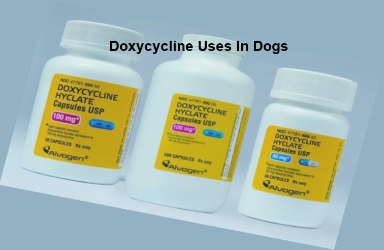 Doxycycline 100 mg 30 tablets