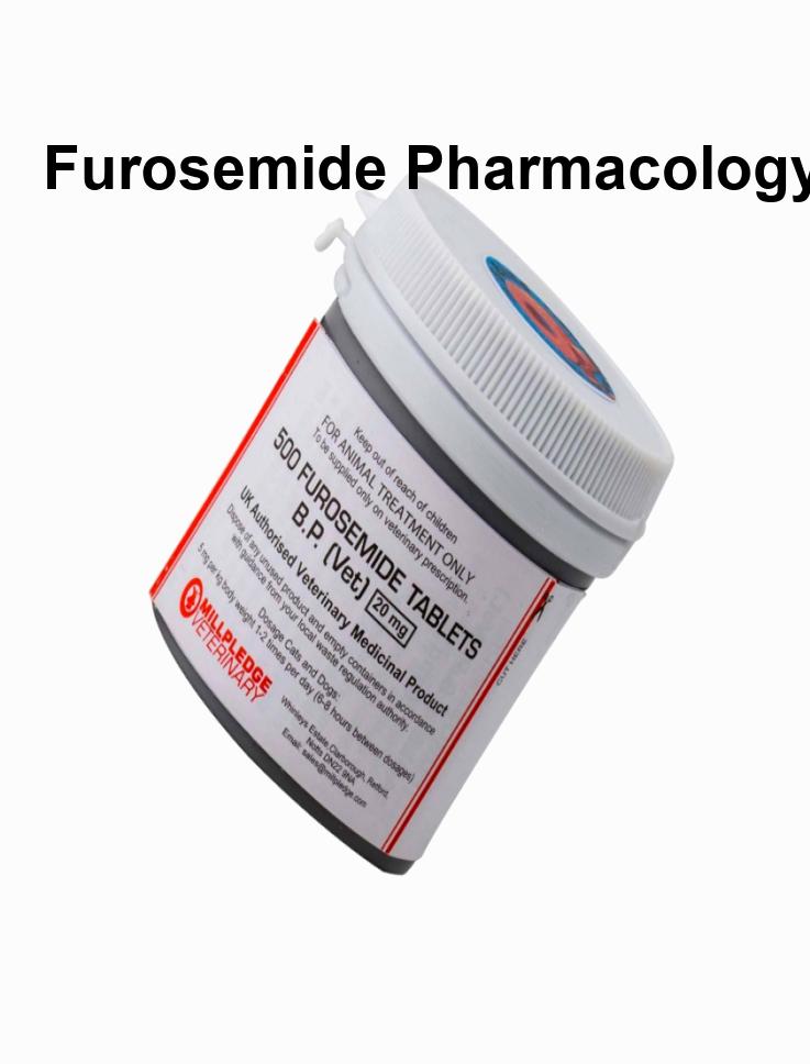 furosemide pharmacology